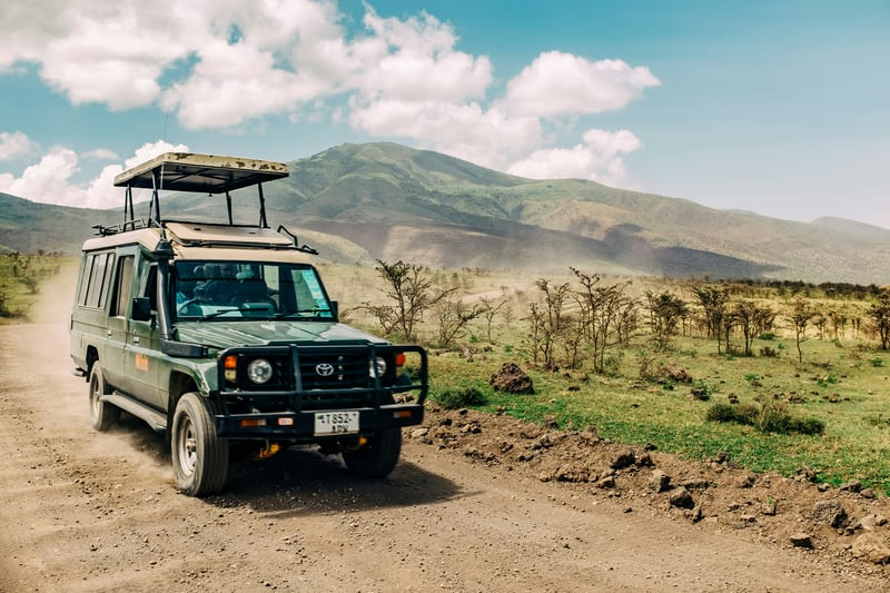 Walking Safari Travel Insurance: Your Essential Coverage Checklist