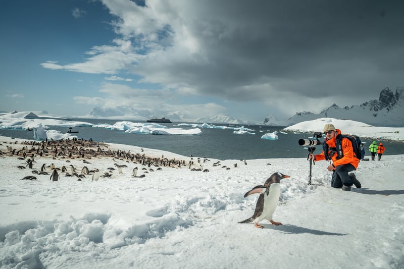 Antarctica Expedition