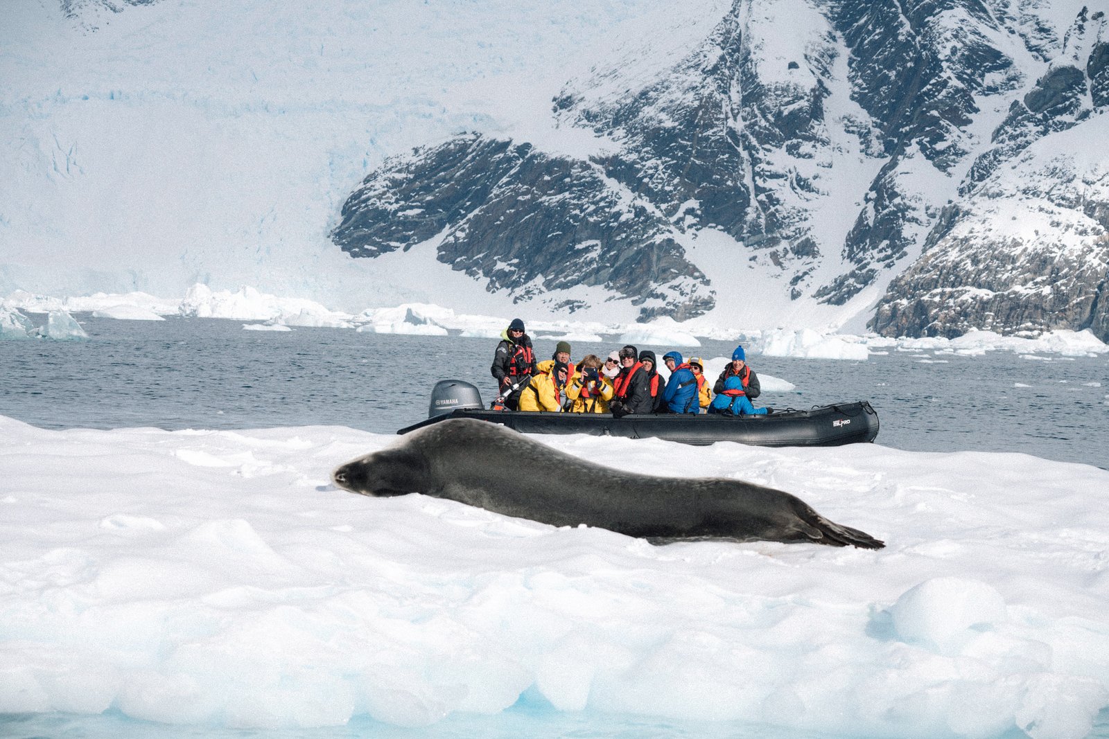 Don't Get Stranded: Why Your Chase Sapphire Reserve Isn't Enough for Antarctica Expedition Insurance