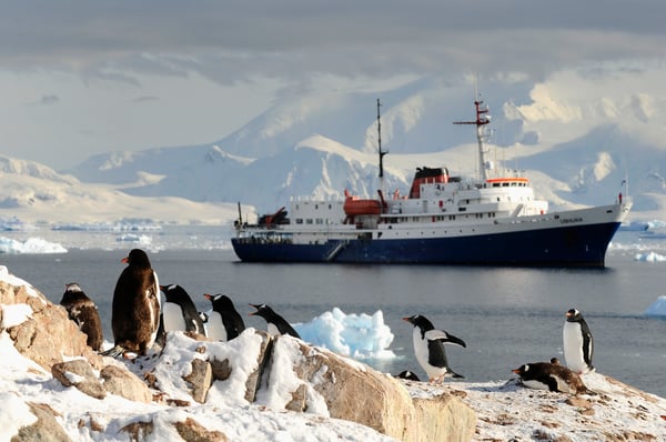 Trails of Antarctica & Patagonia