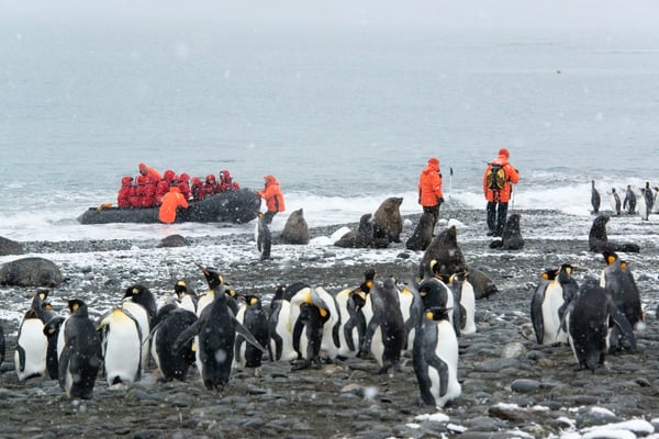 Antarctica Peninsula