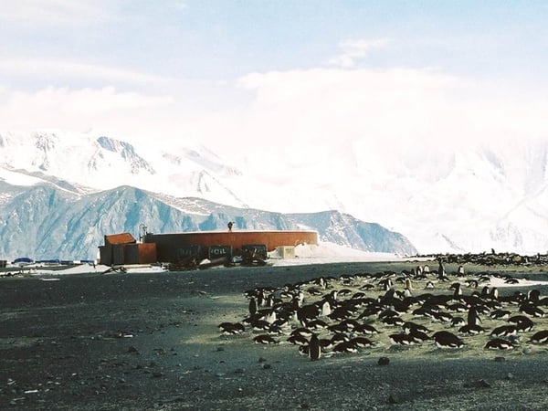 ケープ・ハレット