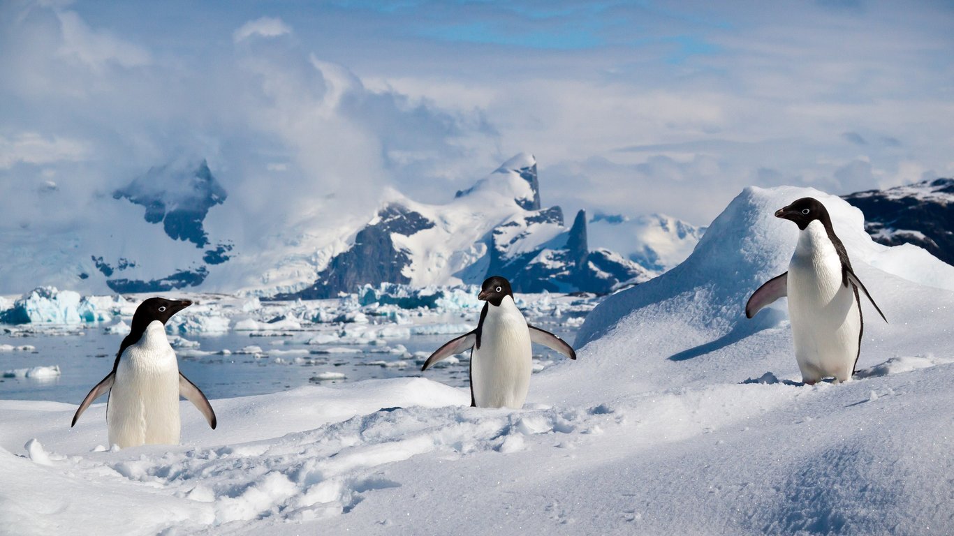 South Shetland Islands