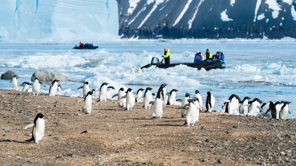 Expedition Antarctica: Weddell Sea Intensive