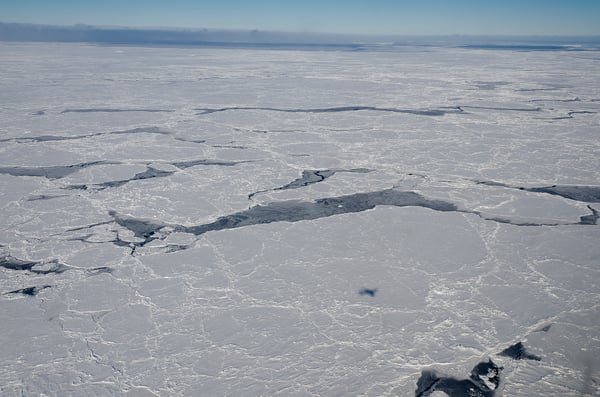 Bellingshausen Sea