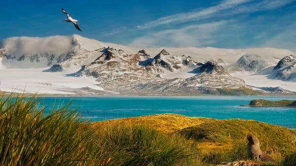 Longitudinal World Cruise V