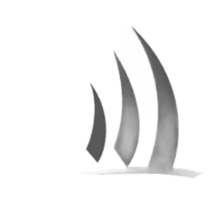 Ponant Cruises icon logo