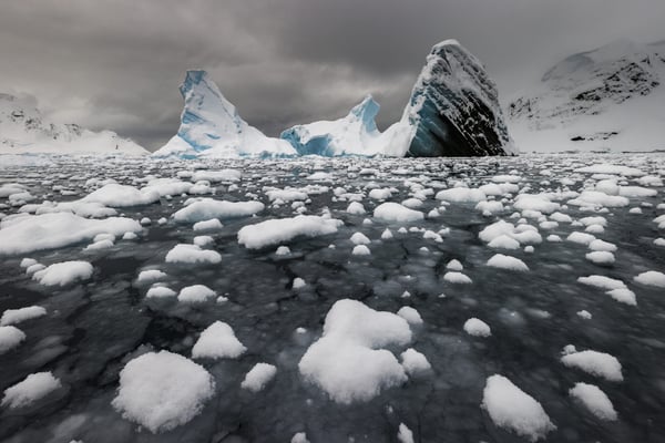 South Georgia, Falklands & Antarctic Odyssey - Feb 28 2026