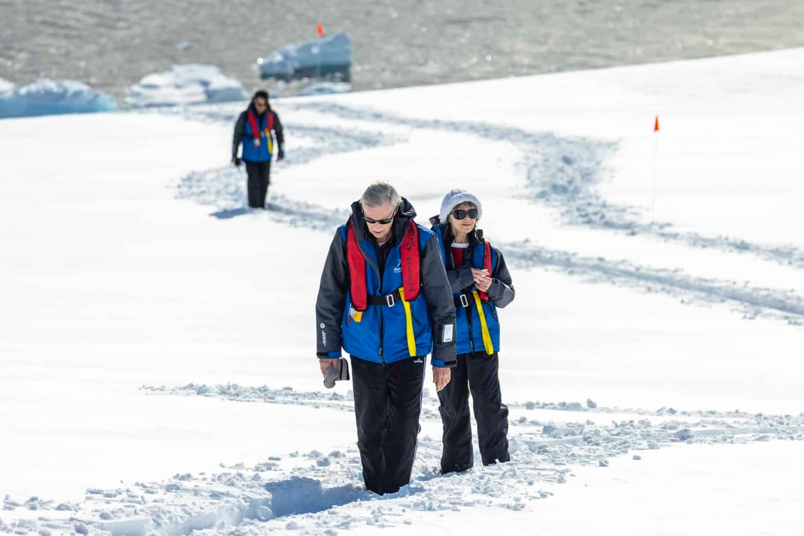 Subantarctic Discovery