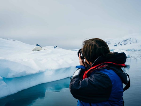 Wild Antarctica featuring the Weddell Sea: In Partnership with New Scientist Discovery Tours - Mar 02 2027
