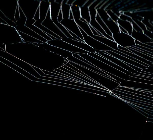 Paths around the web