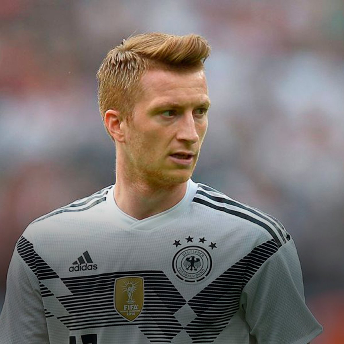 Shop Popular Classic