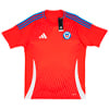 24-25 Chile Home