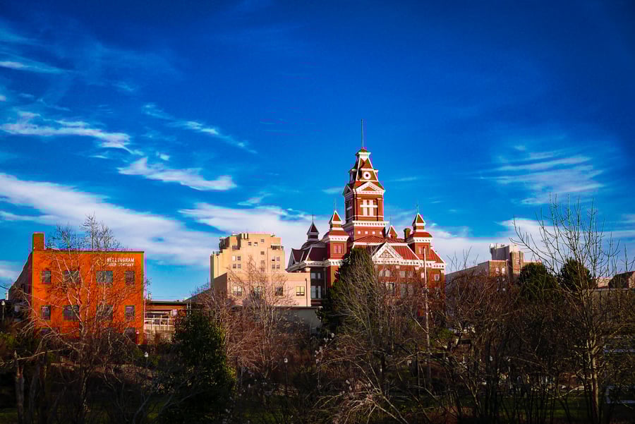 City Hall In Afternoon Light
