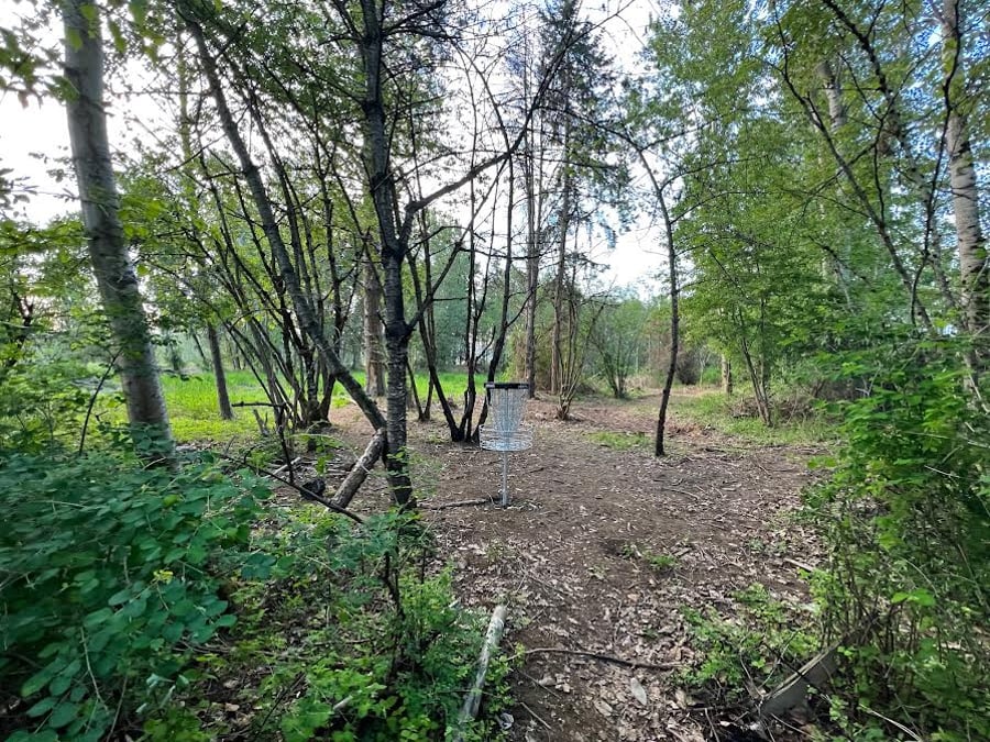 Bellis Fairways Cleanup Work Party