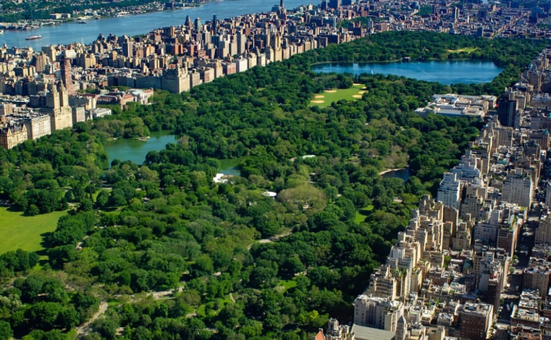 Central Park from the Sky