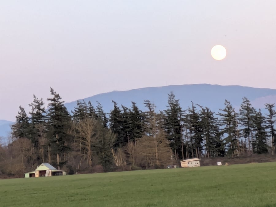 Farmland Moonrise