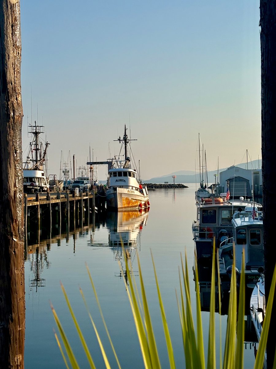 Squalicum Harbor
