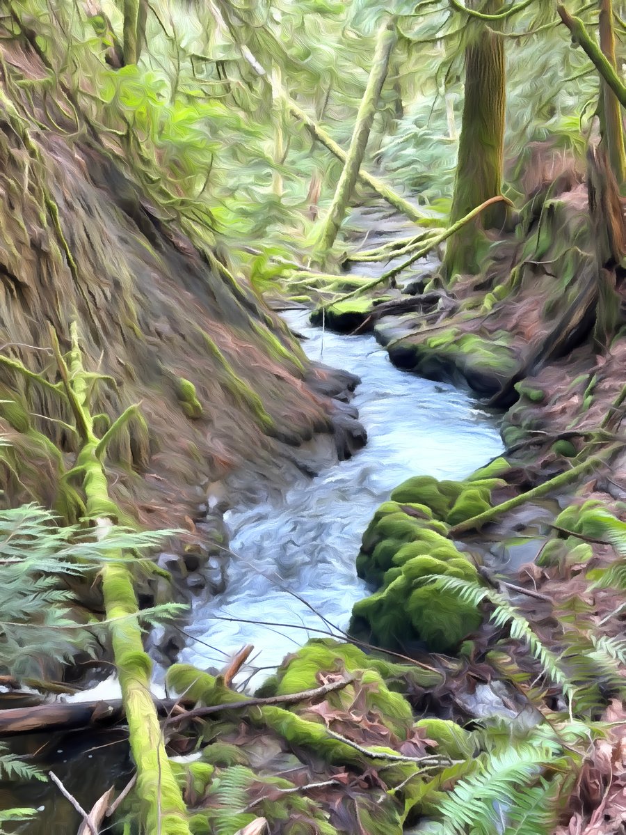 Padden Creek