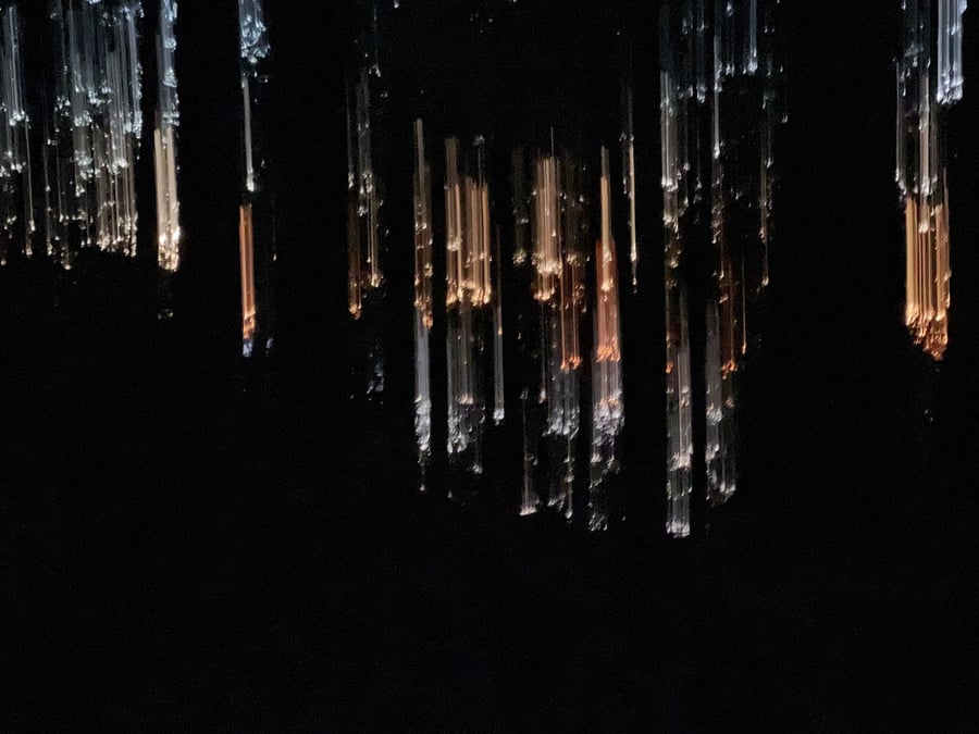 sunset through the trees at Larrabee