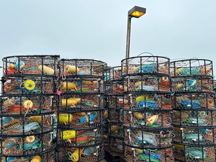 Crab pots / Bellingham Harbor