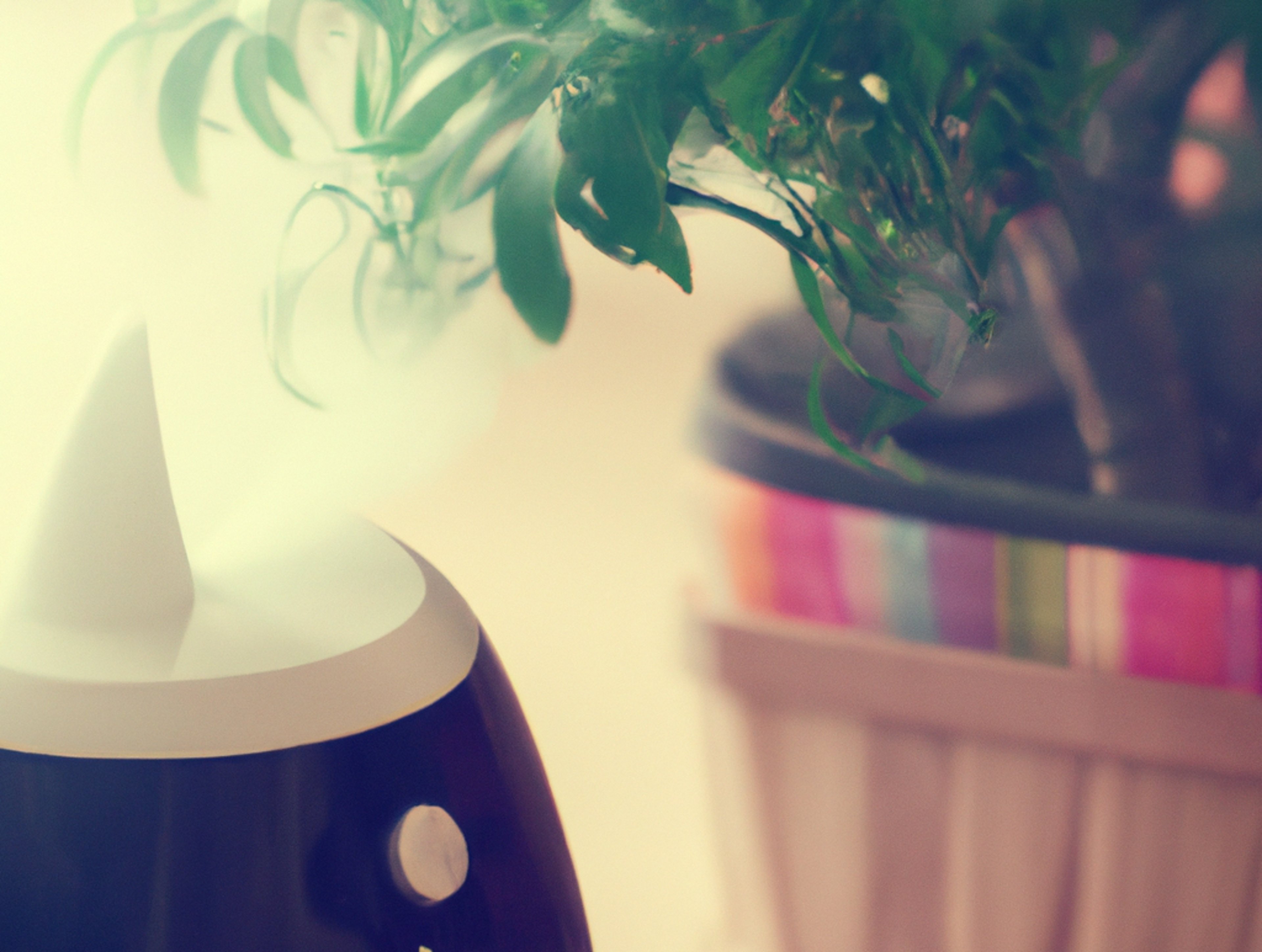 How Do Ultrasonic Humidifiers Work