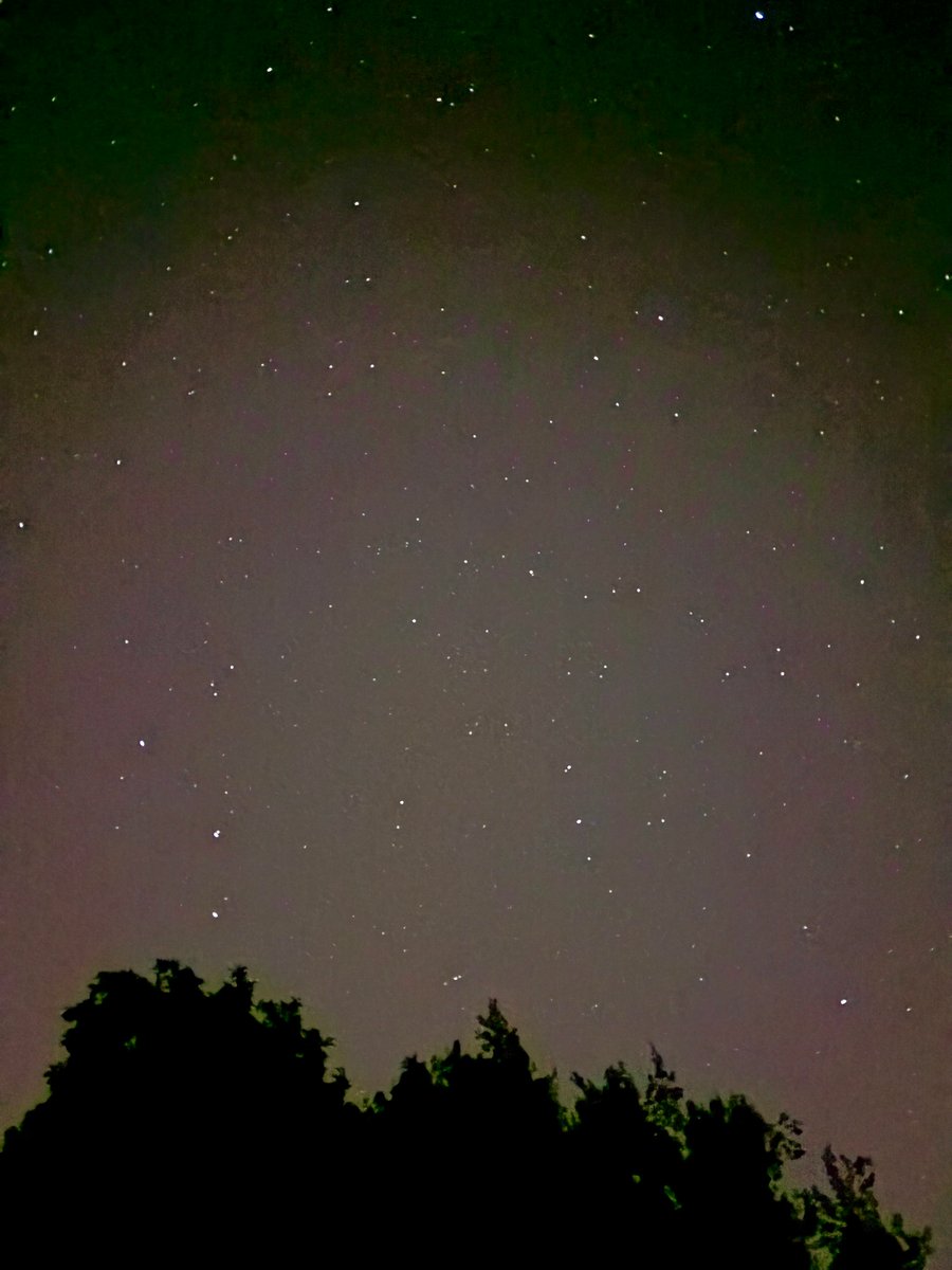 Summer stars