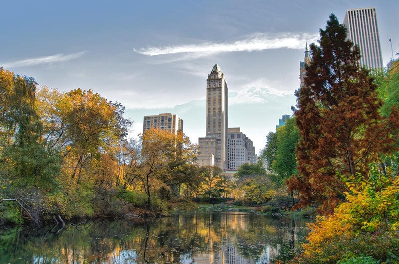 Pond in Central Park