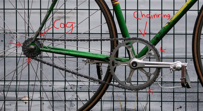 Identified cog and chainring