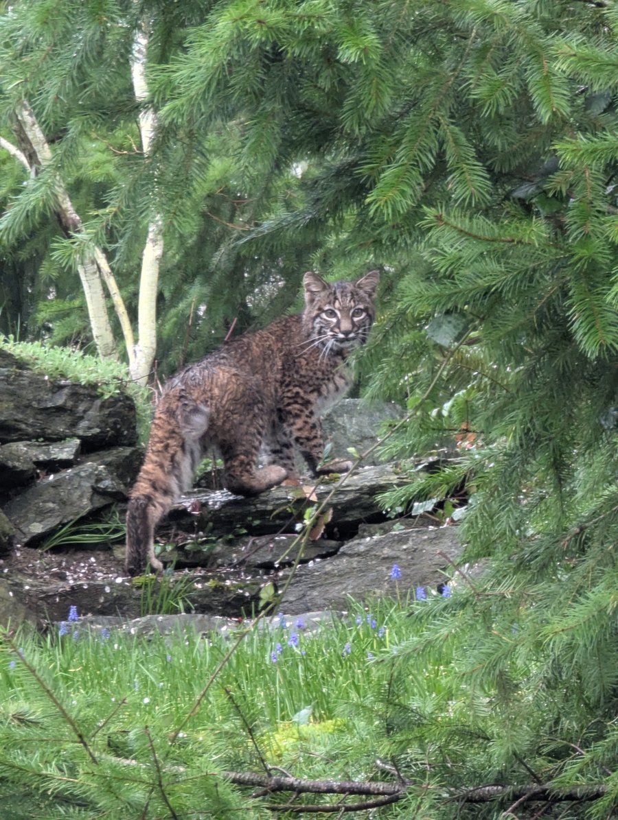 Friend shaped, but not friend