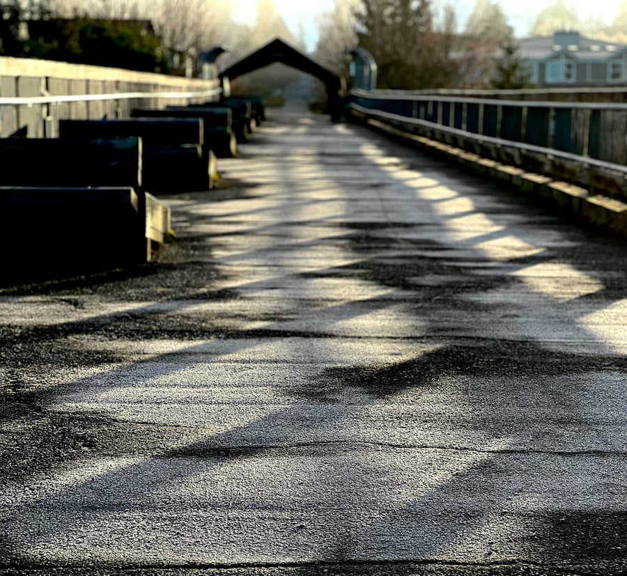 Not another Taylor Dock picture!