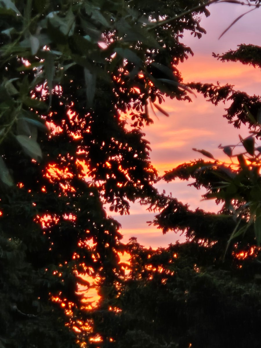 Glorious Sunrise