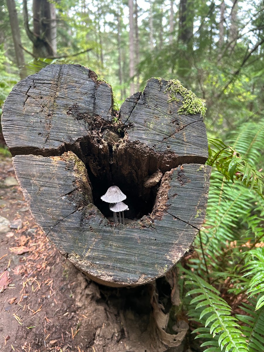 For the love of hiking!