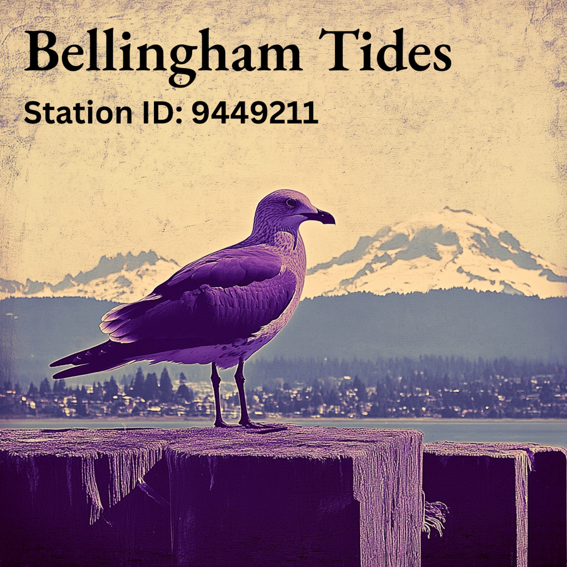 Bellingham Tides (Station ID: 9449211)