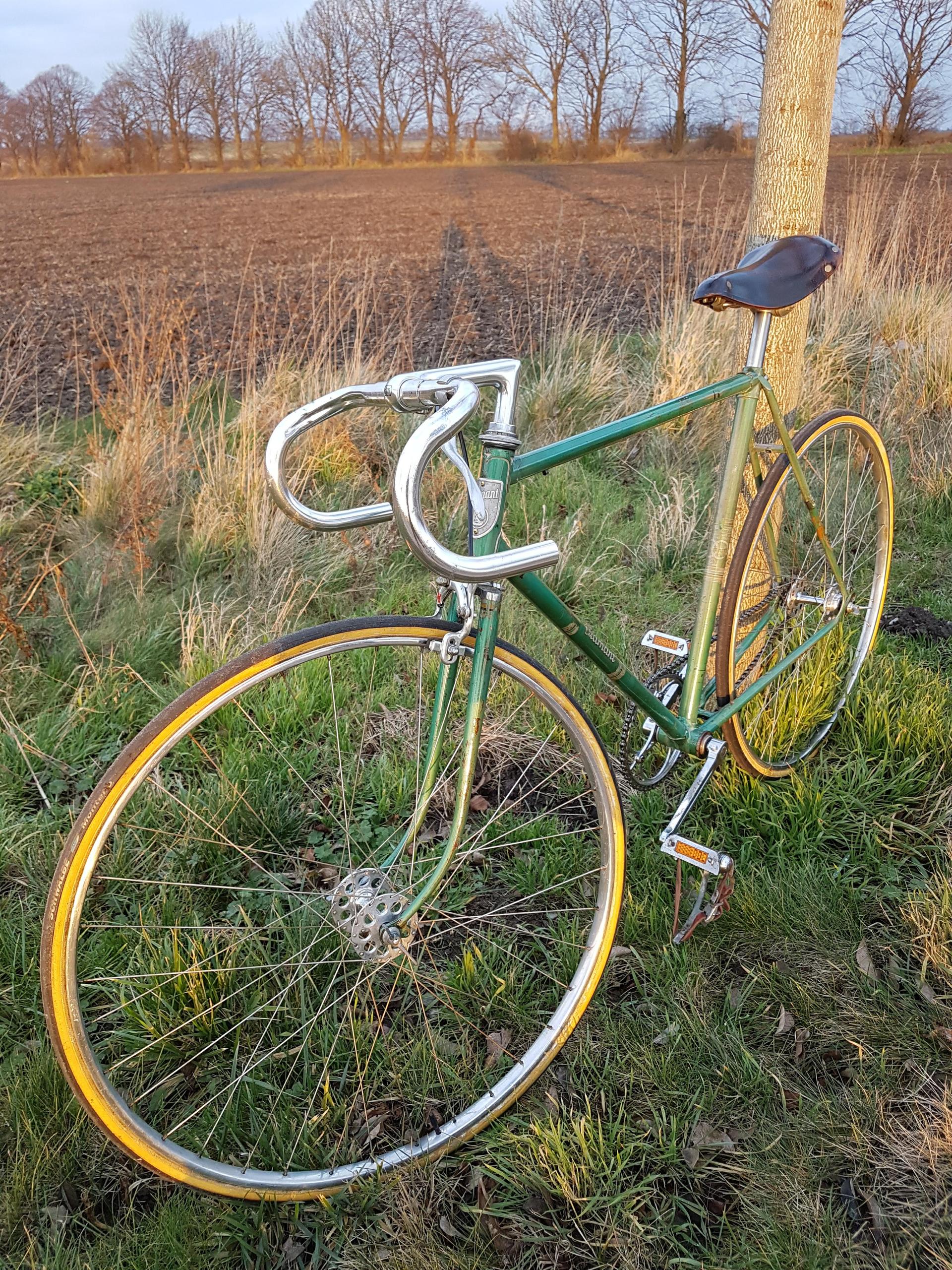 60-year-old Diamant