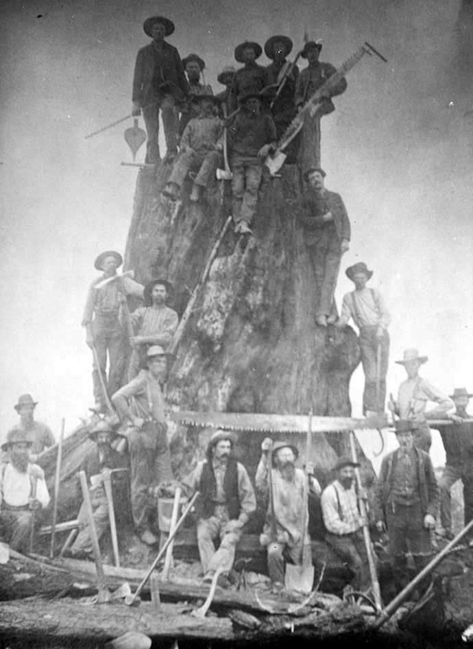 PNW Logging Crew Standing on a Stump