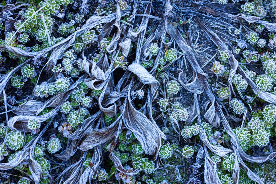 First ice of the year...Mt. Baker.