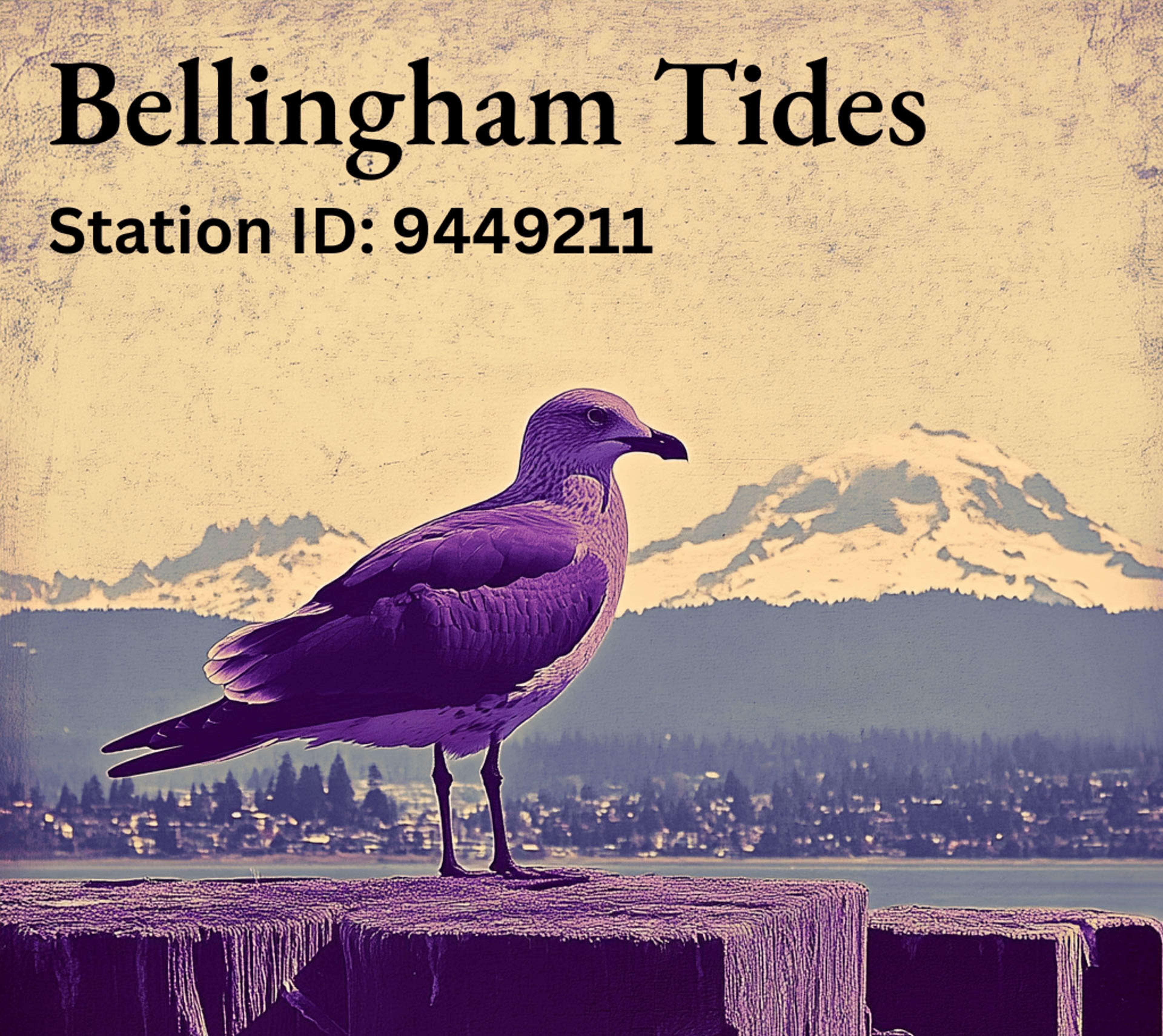 Tide chart banner for The Hamster Wheel