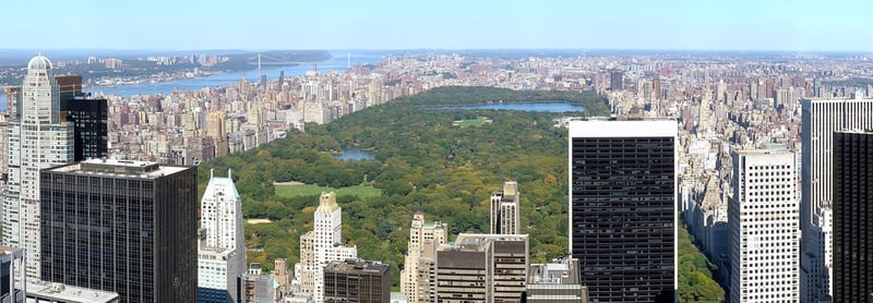 Central Park and NY Skyline