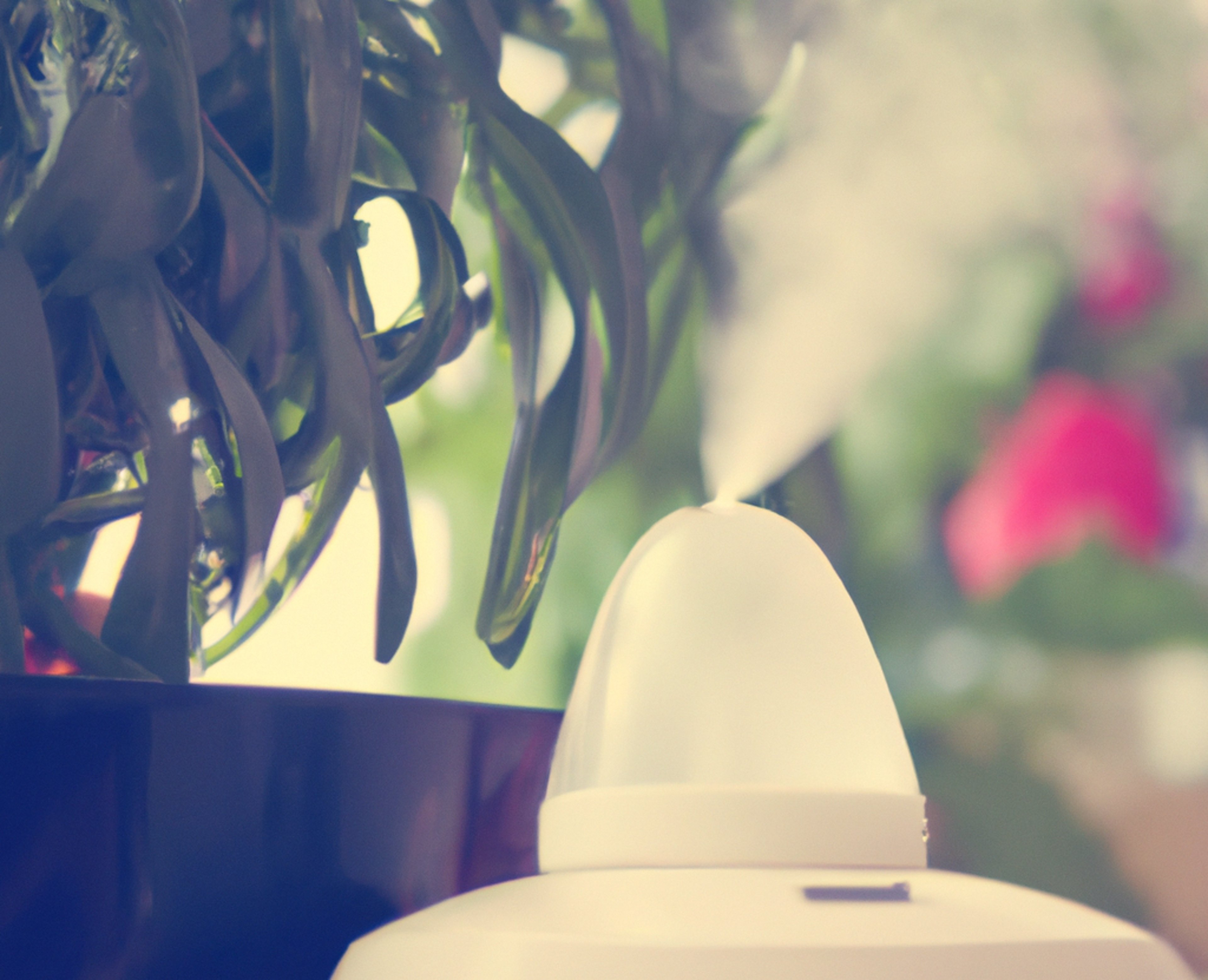 A Guide to Cleaning a Cool Mist Humidifier