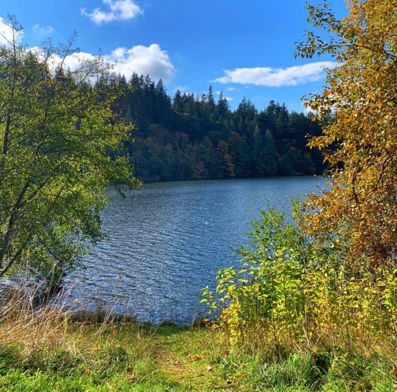 Lake Padden