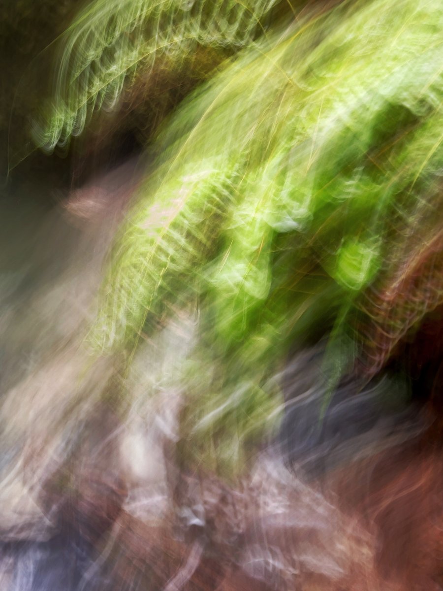 along the south fork of the Nooksack