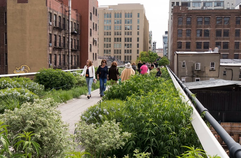 History  The High Line