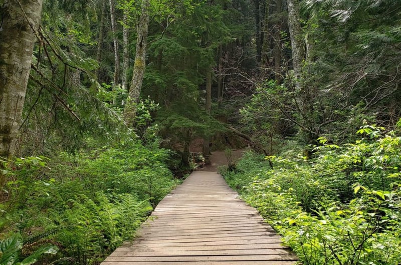 Fun Parks in Bellingham