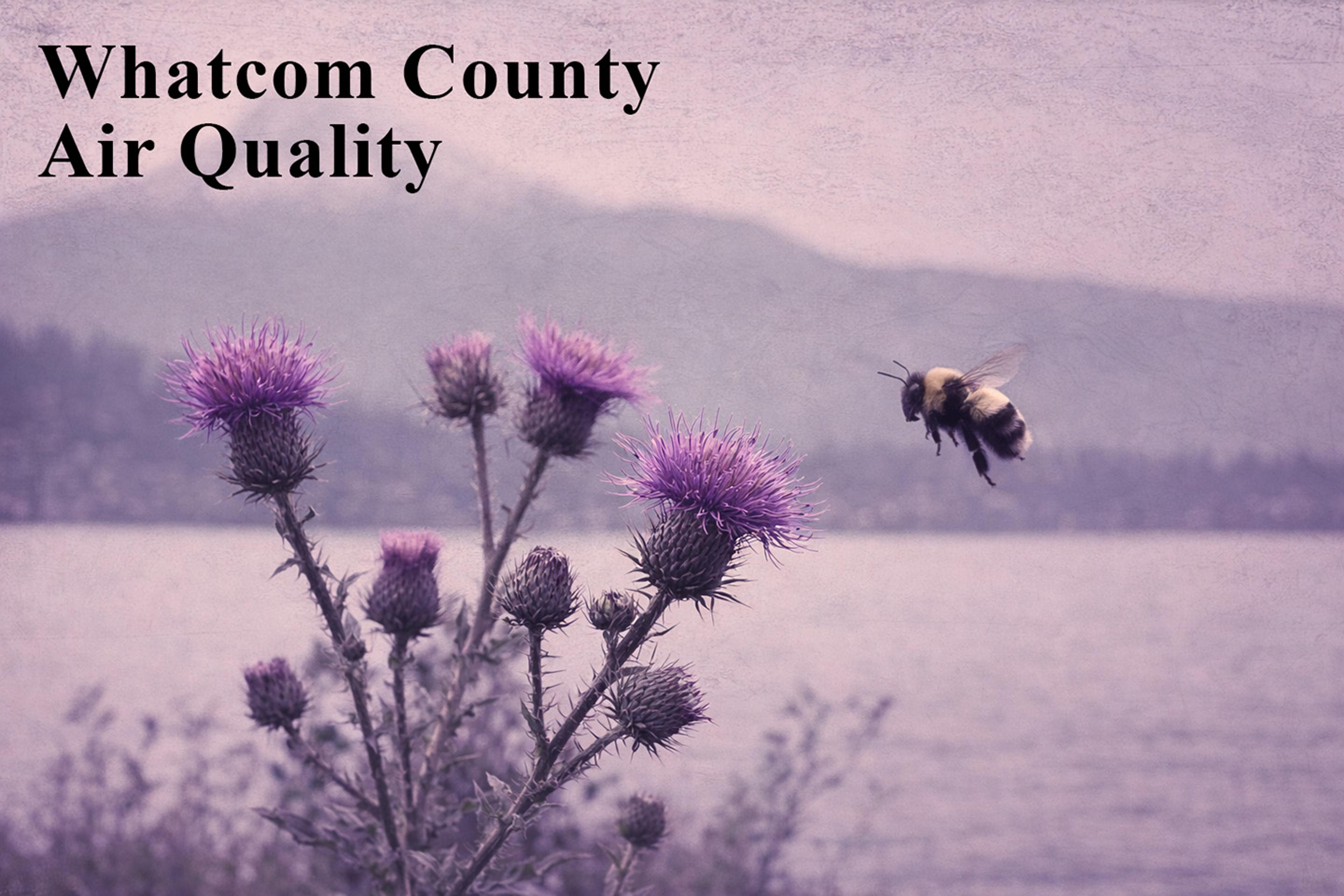 Air quality banner for West Whatcom County