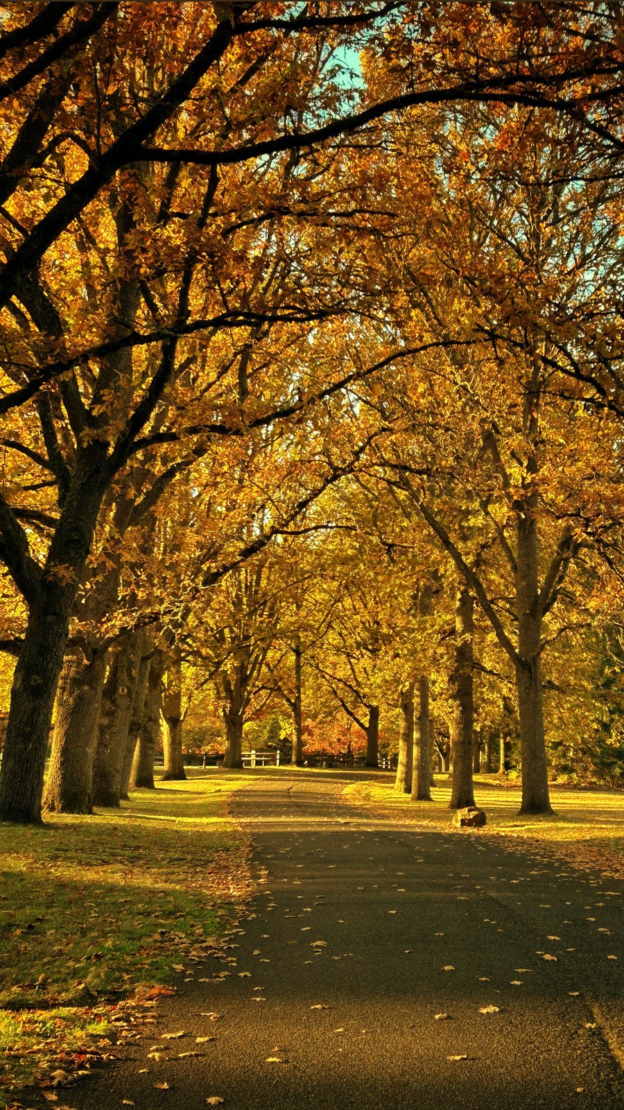 Golden hour