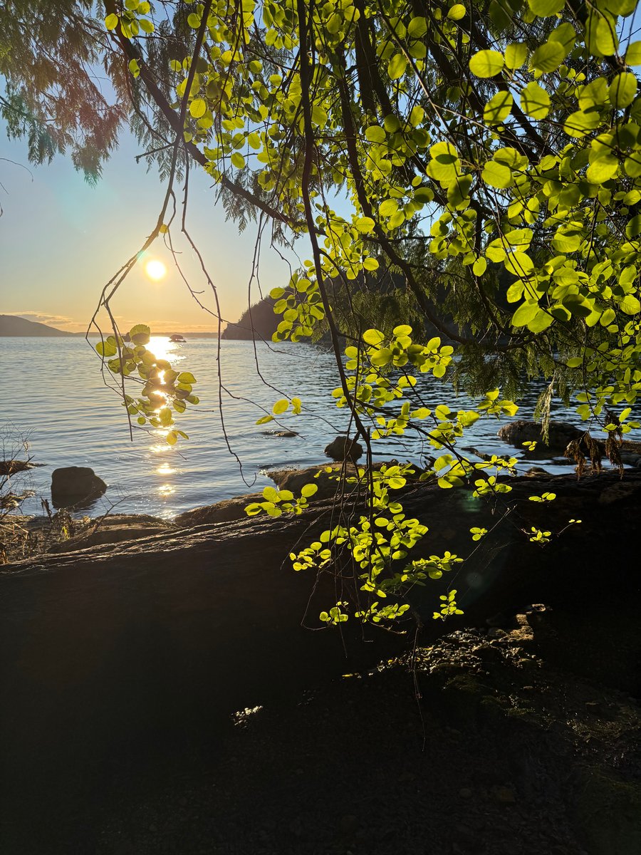 Chuckanut Sunset