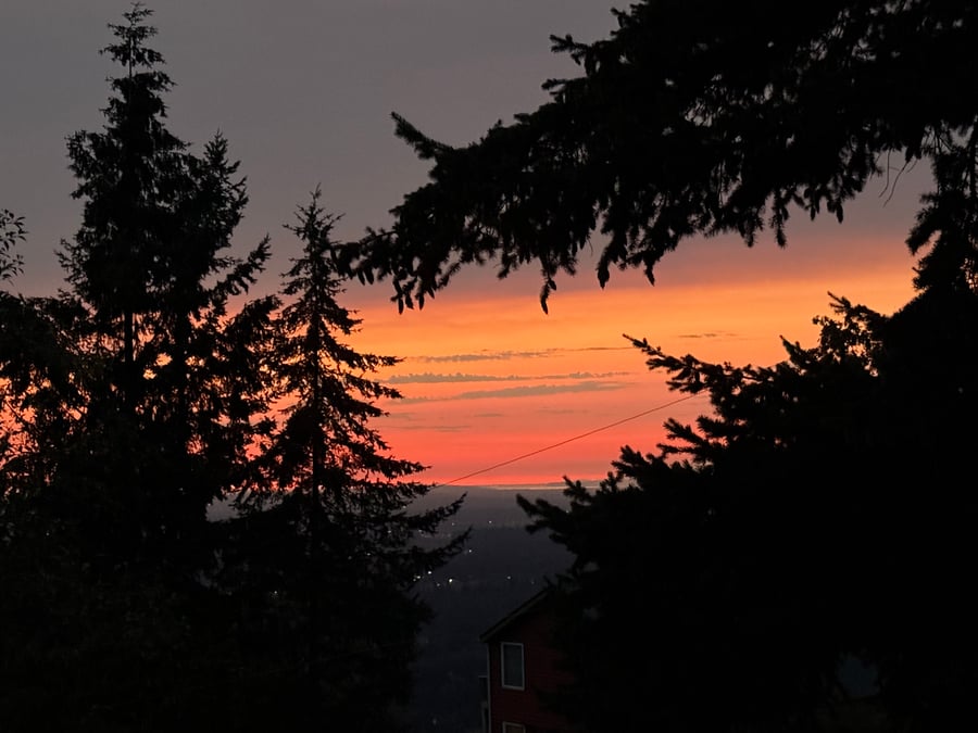 Fire in the sky