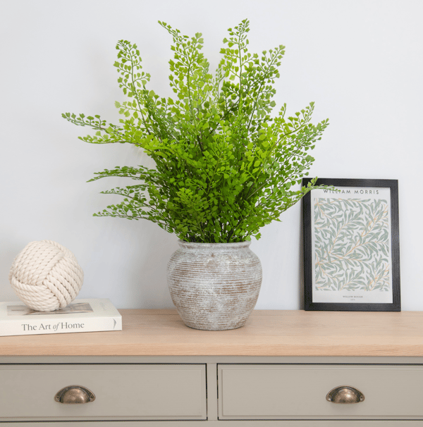 Maidenhair fern planter