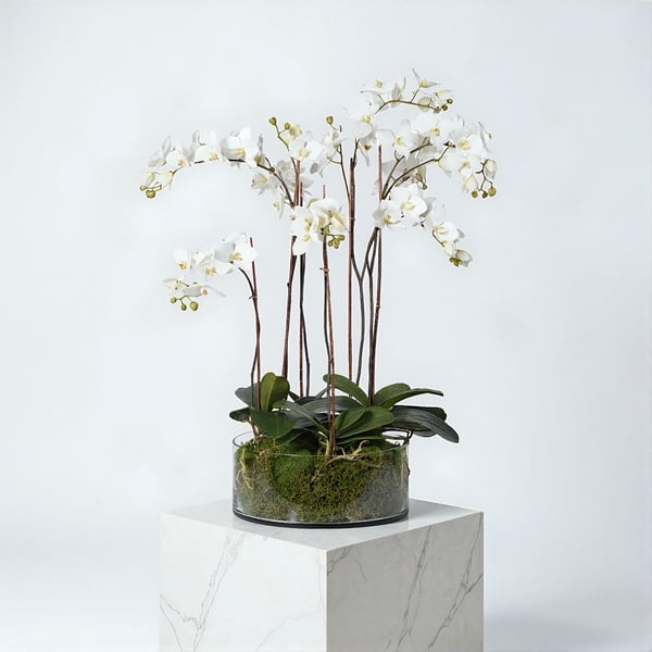 White orchids in a large glass shallow bowl